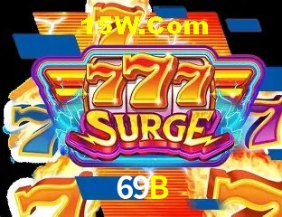 Sistemas de Segurança 69B